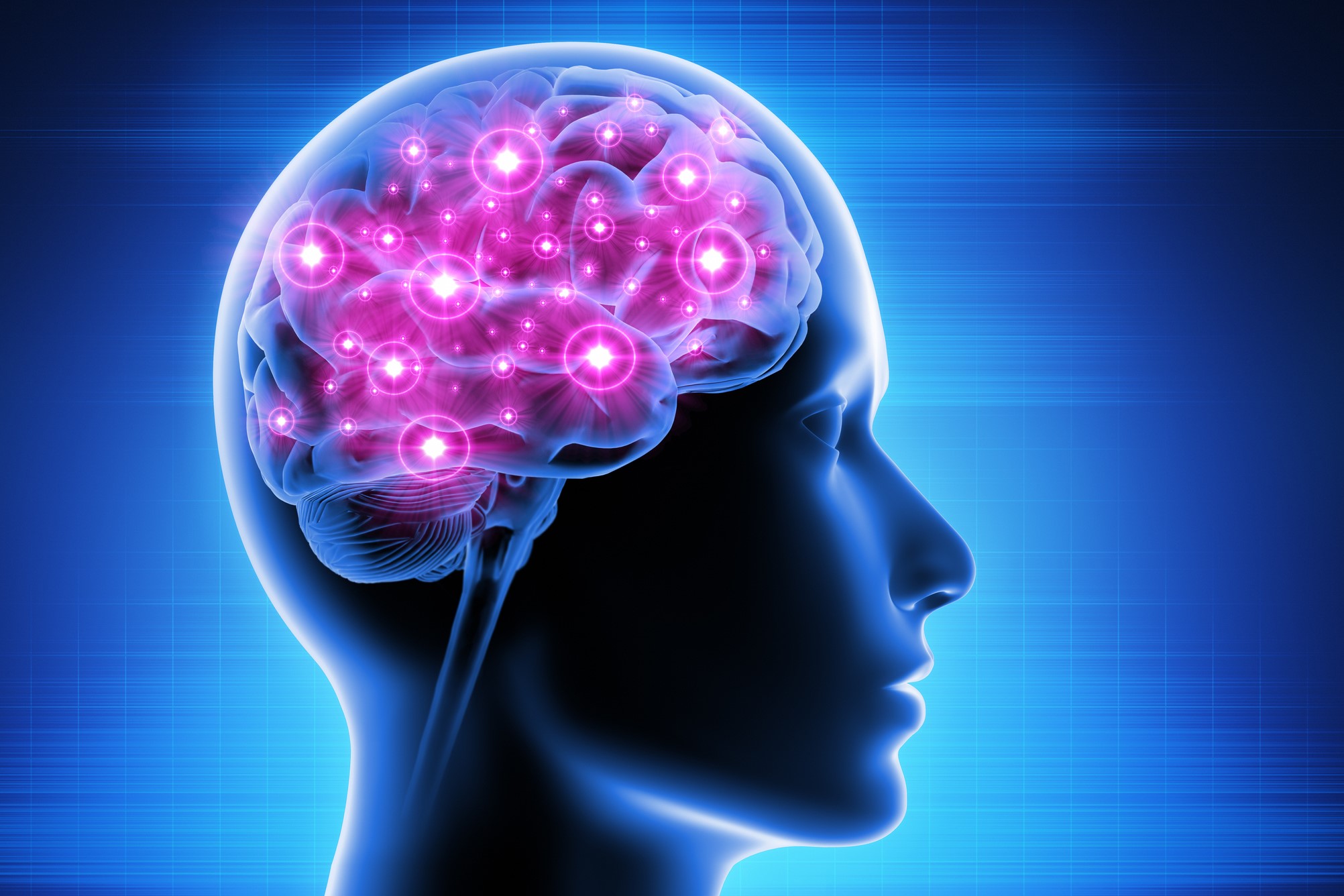 illustration of neurological brainwaves highlighted in brain