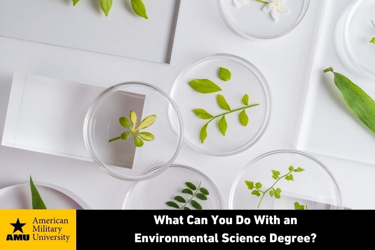 environmental science depicted by plants in petri dishes
