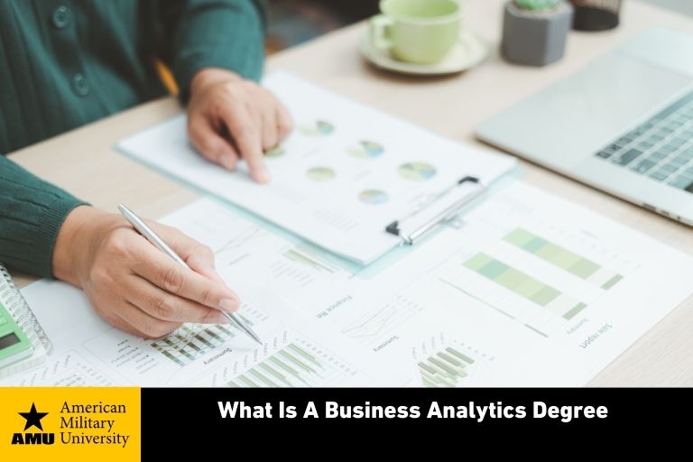 what-is-a-business-analytics-degree business analytics degree student reviewing data