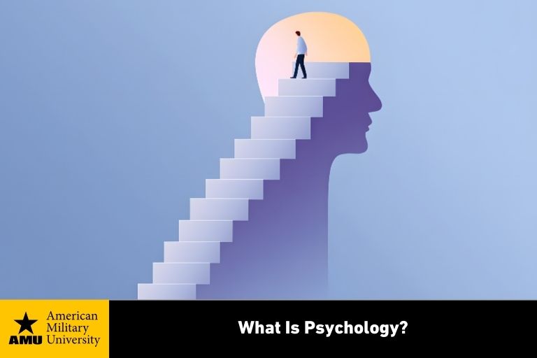 what-is-psychology illustration of person walking up stairs toward human brain