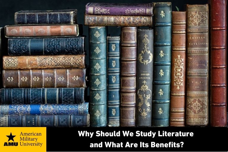 why-should-we-study-literature literature books on shelf
